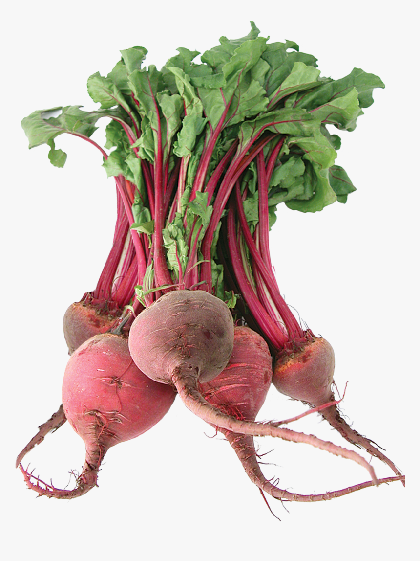 Beet Png - Fresh Beetroot, Transparent Png