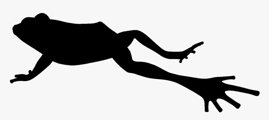 Silhouette Of Jumping Frog - Jumping Frog Silhouette, HD Png Download