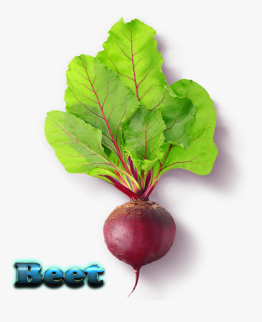 Beet Free Download Png - Beetroot Png, Transparent Png