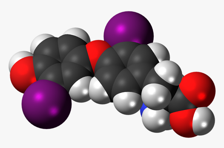 Diiodothyronine, Molecule, Chemistry, Atoms, Model - Tyrosine En 3d, HD Png Download