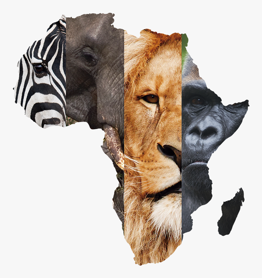 East Africa Located, HD Png Download