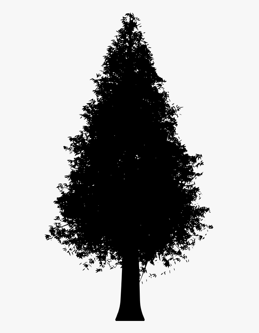 Trunk Spruce Png, Transparent Png
