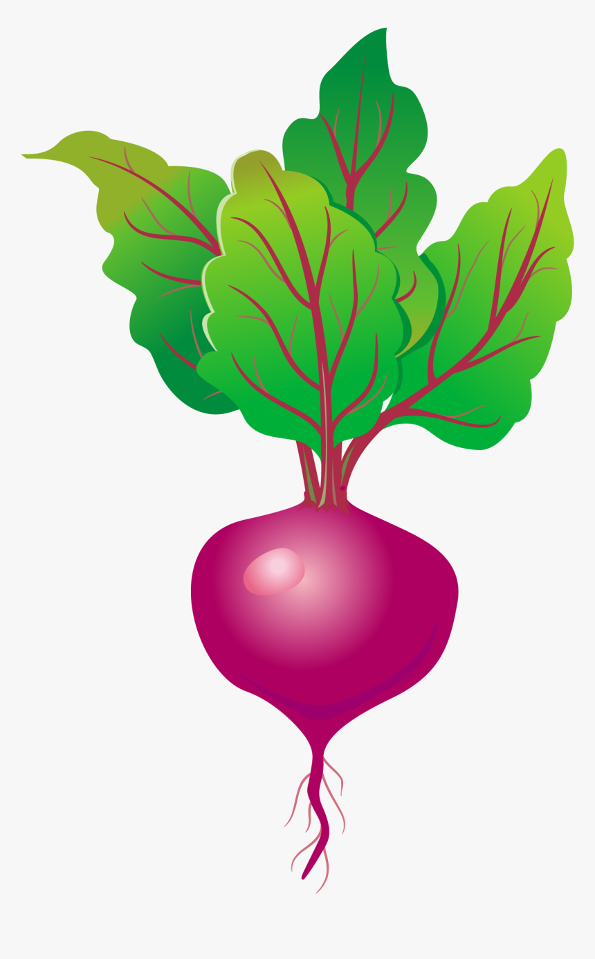 Free, HD Png Download