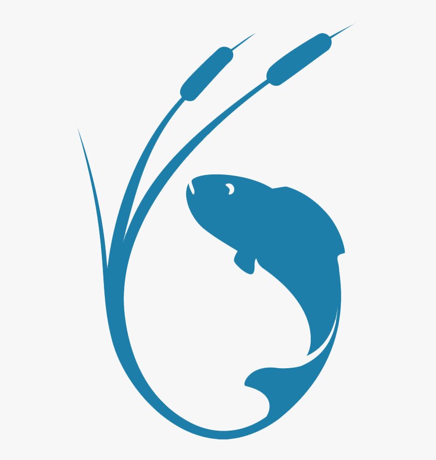 The Iceman Cometh Sidewalk Salt Pollutes Our Lakes, HD Png Download