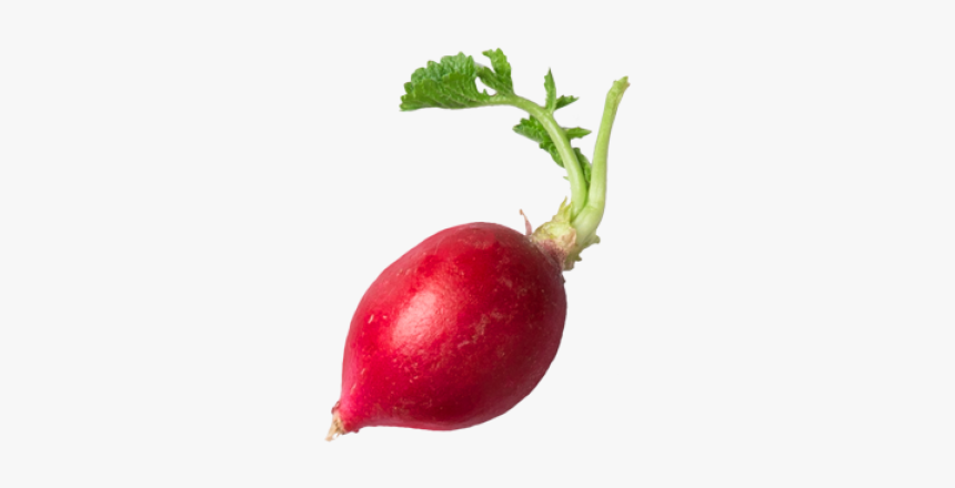 Radish,natural - Beetroot, HD Png Download