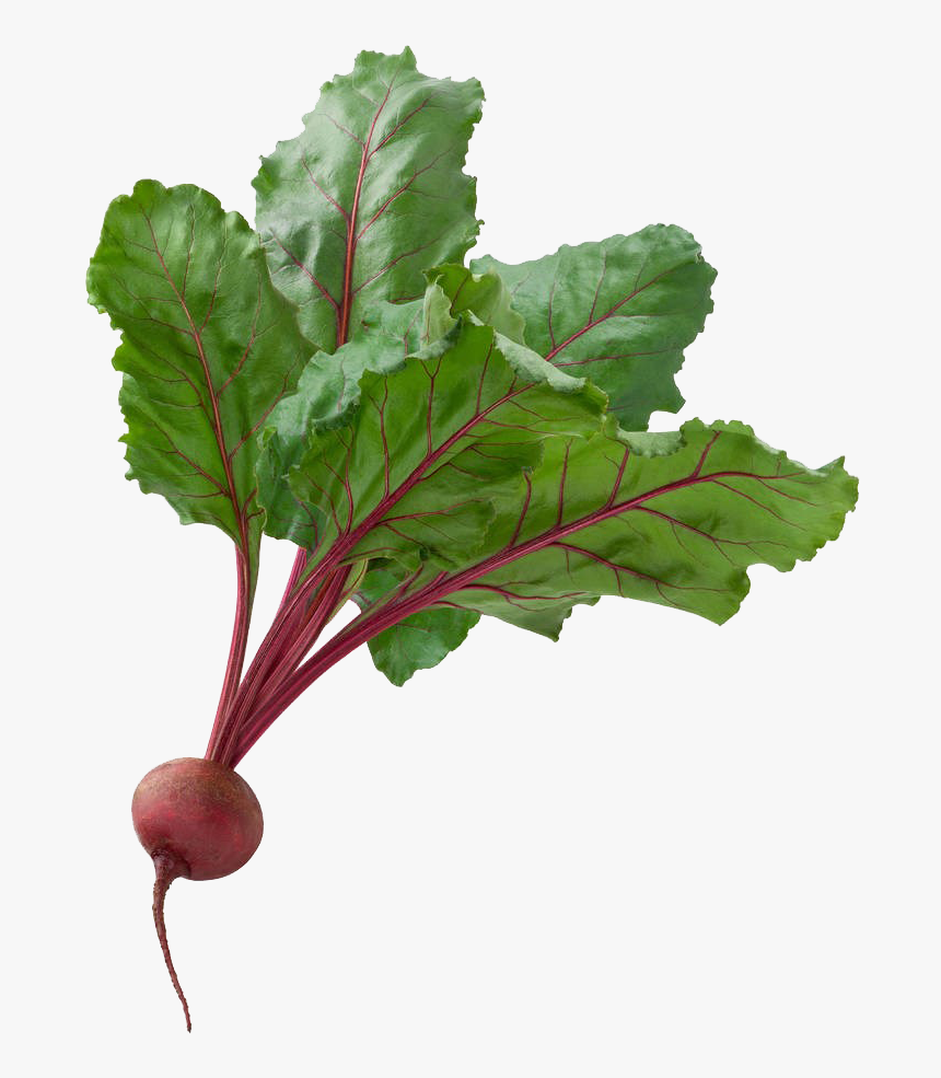 Jamba Juice Coupon 2011, HD Png Download