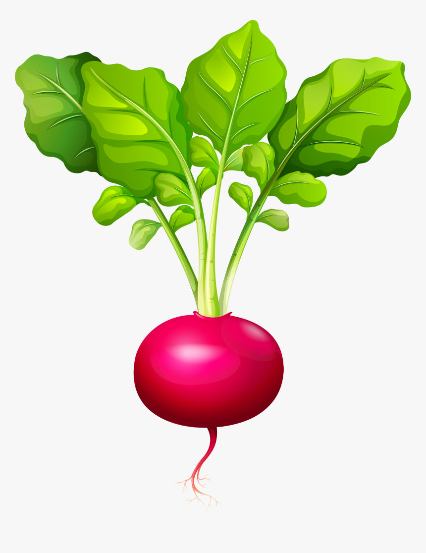 Beet-greens, HD Png Download