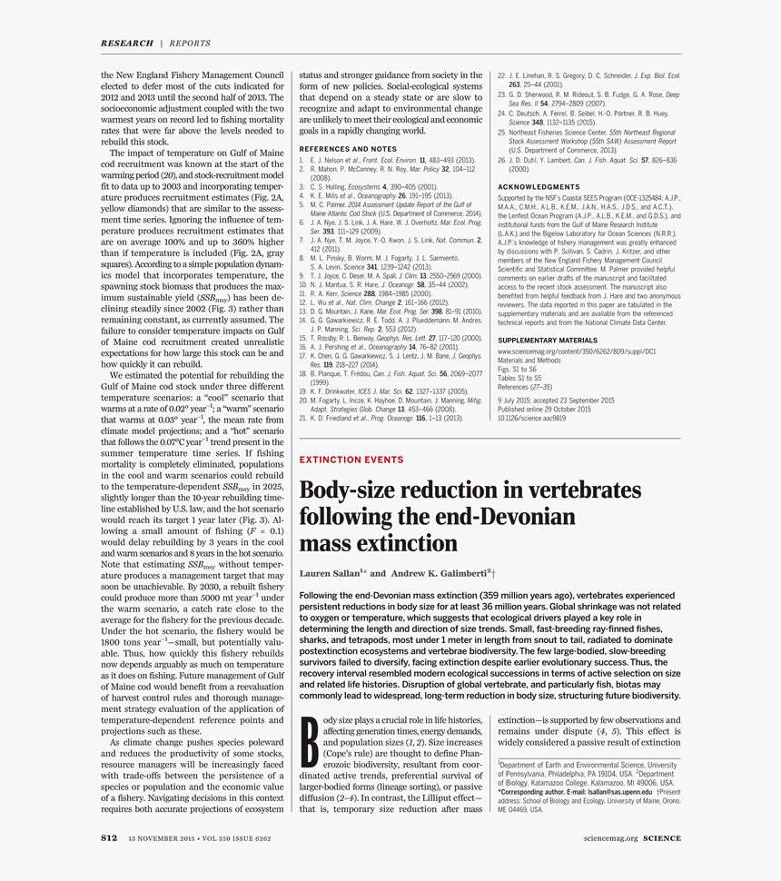 King Mark Of Cornwall Meeting Tristan, HD Png Download