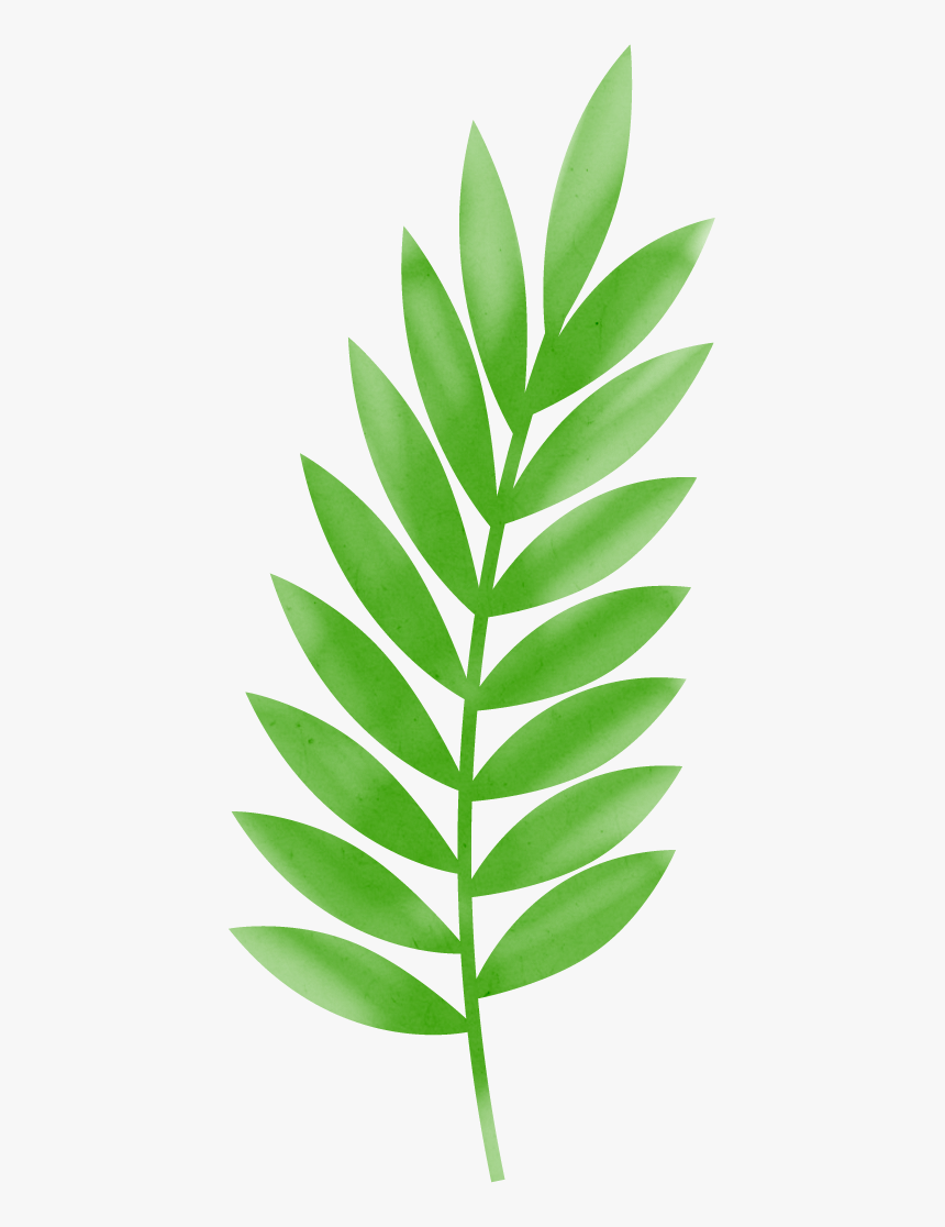 Тропические Листья Трафарет, HD Png Download , Transparent Png Image ...