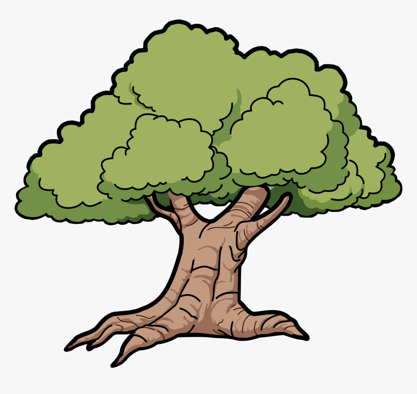 Free To Use Public - Oak Tree Clipart, HD Png Download