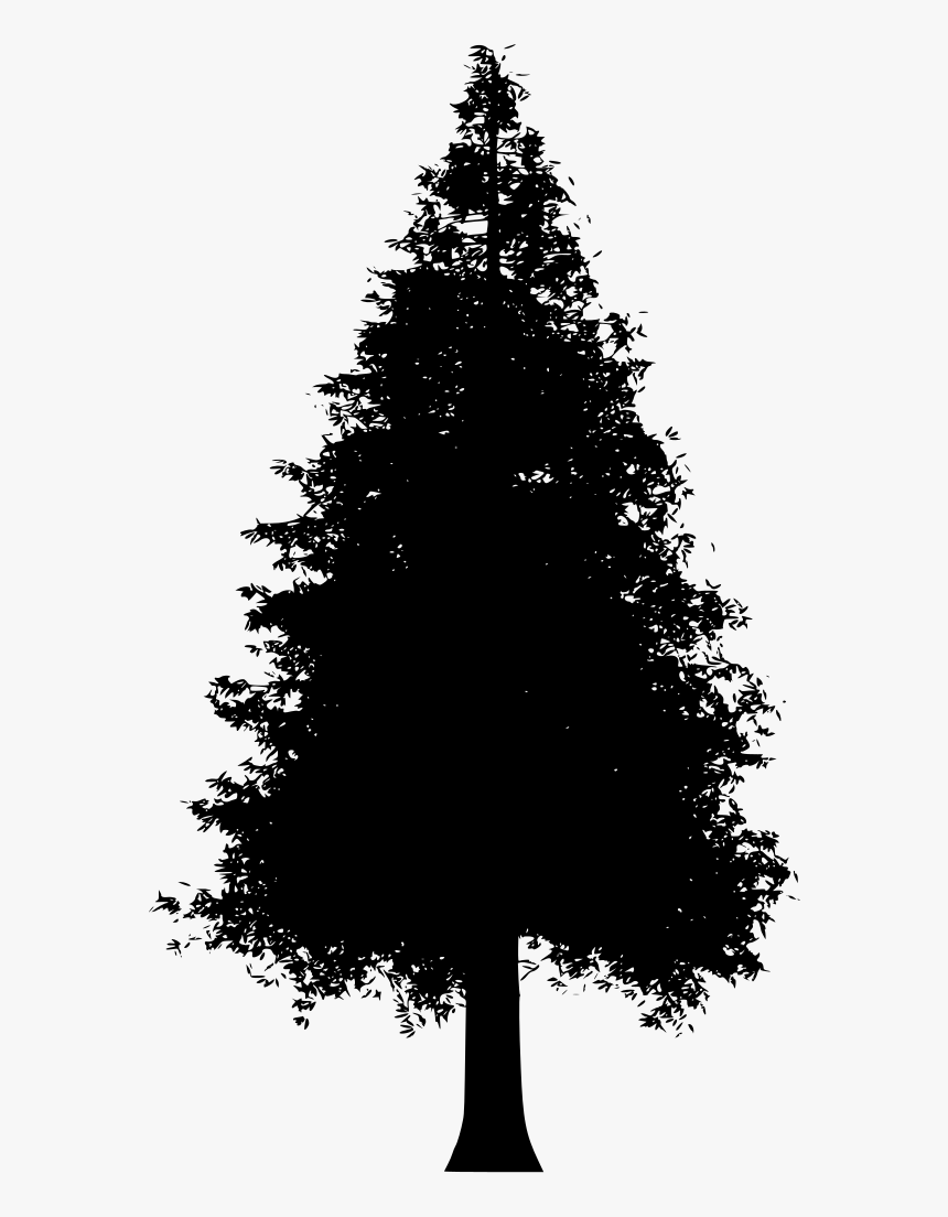 Tree Silhouette Png File, Transparent Png
