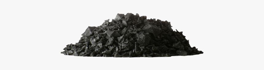 Mussel, HD Png Download