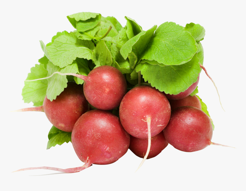 Turnip - Radish Transparent, HD Png Download