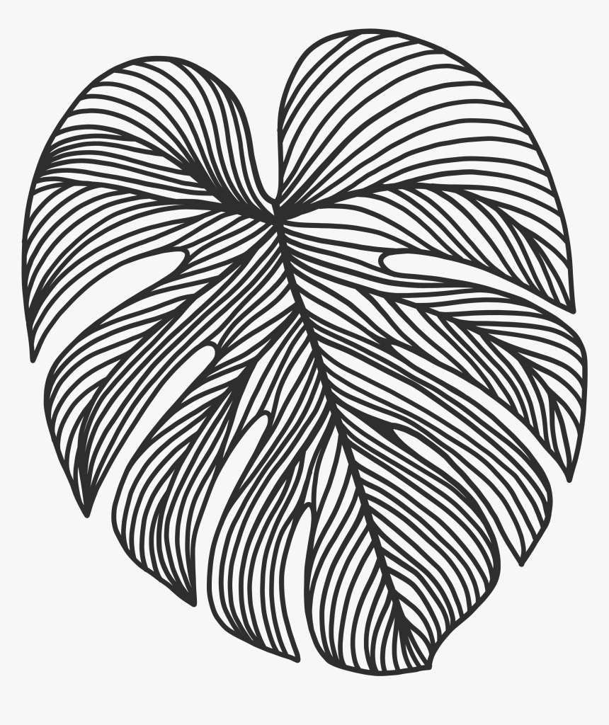 Wix, HD Png Download