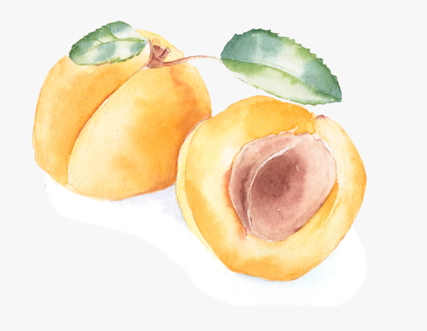 Fruit, HD Png Download