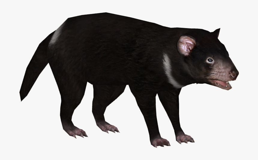 Tasmanian Devil Png 6 » Png Image - Tasmanian Devil No Background, Transparent Png