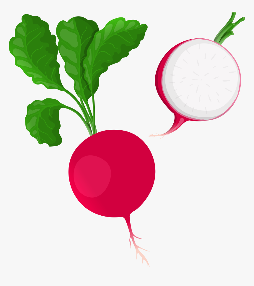 Png Clip Art Best - Clipart Transparent Background Radish, Png Download