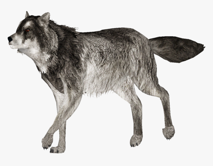 Zoo Tycoon 2 Gray Wolf, HD Png Download