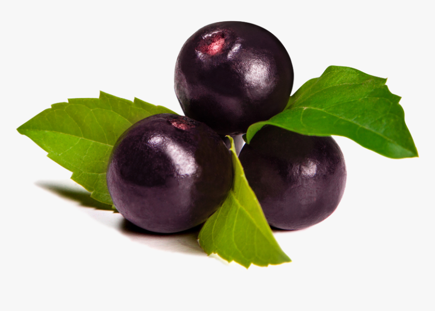A Legfinomabb Acai Gyümölcspépek, Italok És Receptek - Acai Berry Transparent, HD Png Download