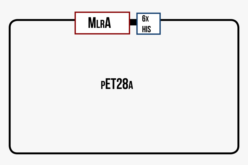 Border Obs Camera , Png Download - Cadre Gaming Png, Transparent Png