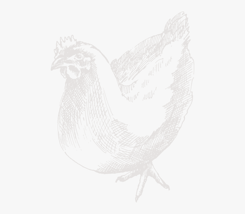 Sketch, HD Png Download