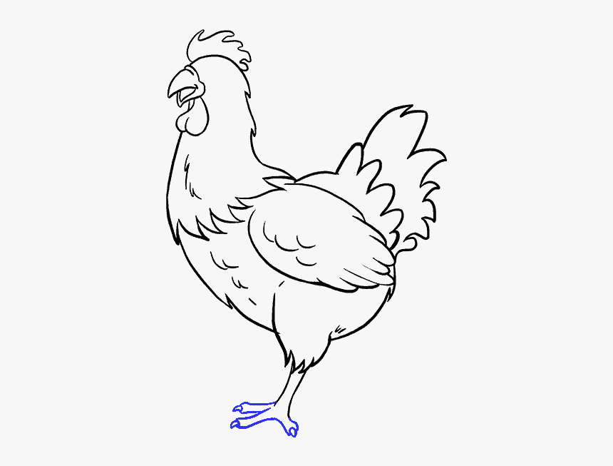 Chicken Drawing Beautiful Image - Chicken Drawing Easy, HD Png Download