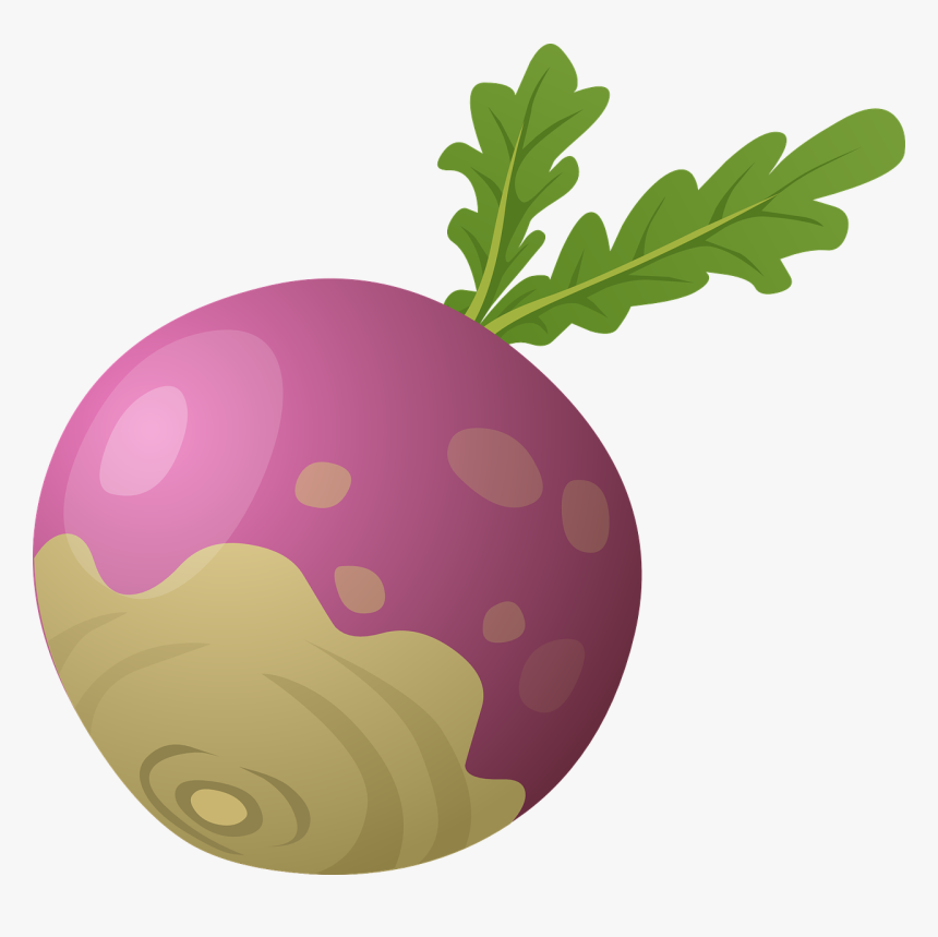 Beetroot Png, Transparent Png
