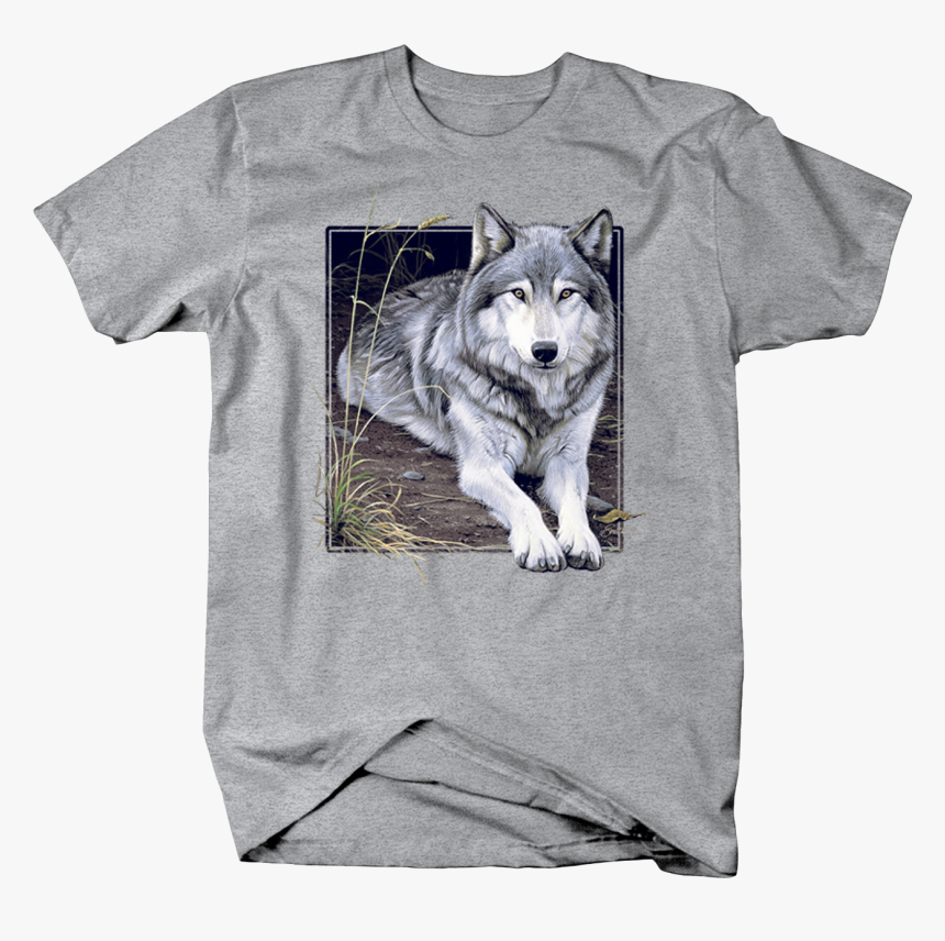 Grey Wolf Sitting On Wilderness Ground Staring Custom - Puppy, HD Png Download