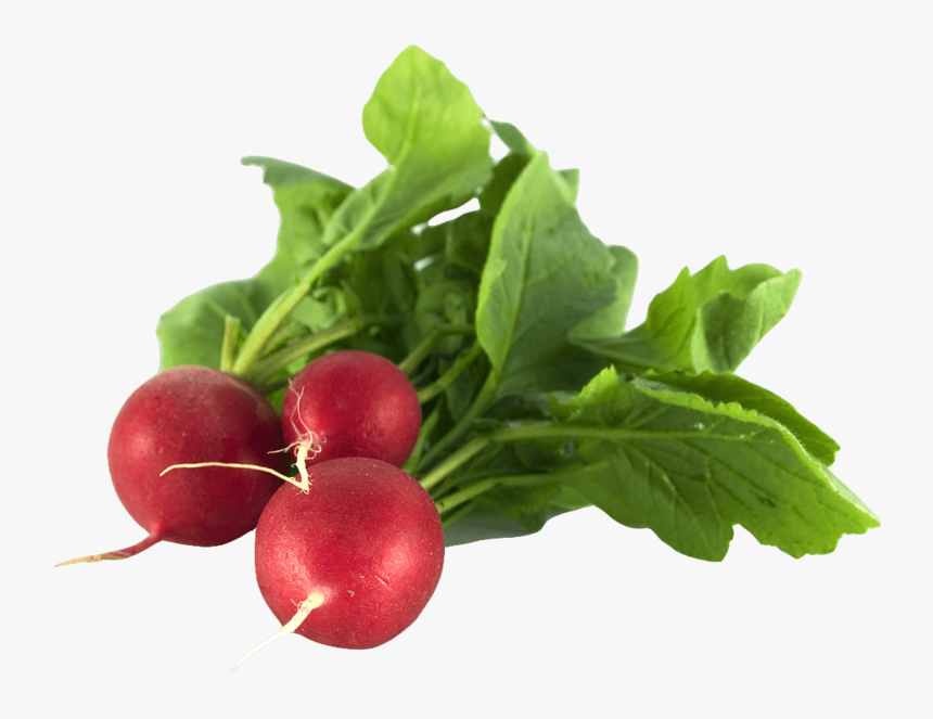 Healthy Food In Summer, HD Png Download