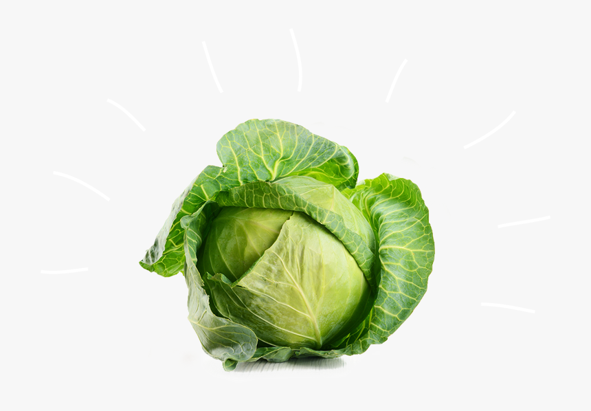 Cabbage Vegetable Broccoli Beetroot - White Cabbage, HD Png Download