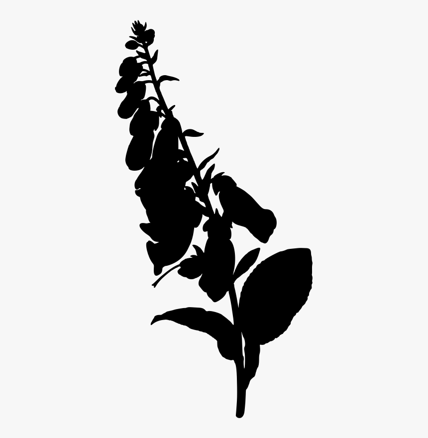 Foxglove Silhouette, HD Png Download