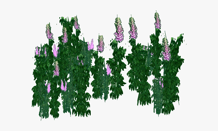 Foxglove - Delphinium, HD Png Download
