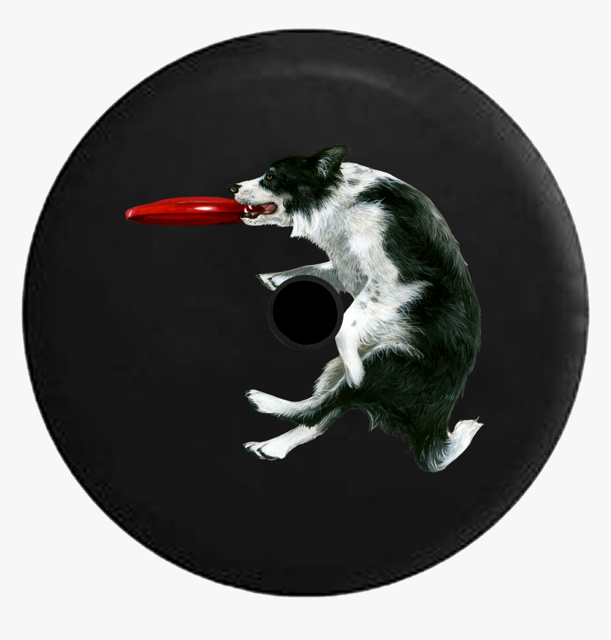 Jeep Wrangler Jl Backup Camera Day Border Collie Frisbee - Dog Catches Something, HD Png Download
