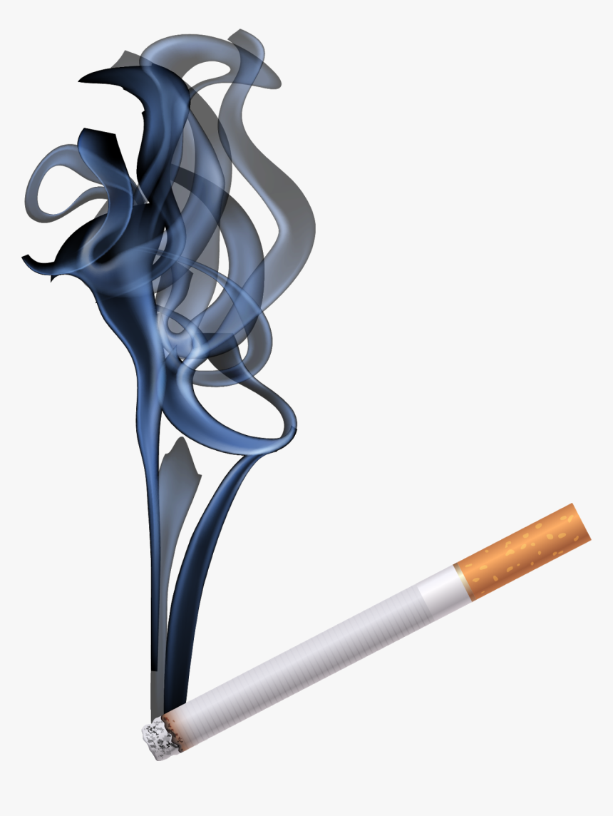 Portable Network Graphics, HD Png Download