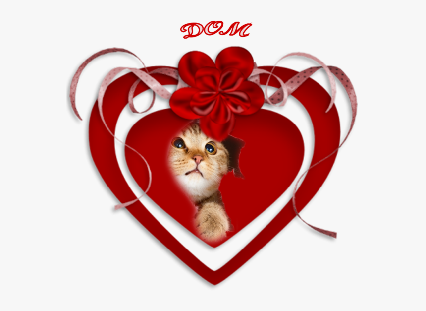 Husband Love Romance Wife Clip Art - Kitten, HD Png Download