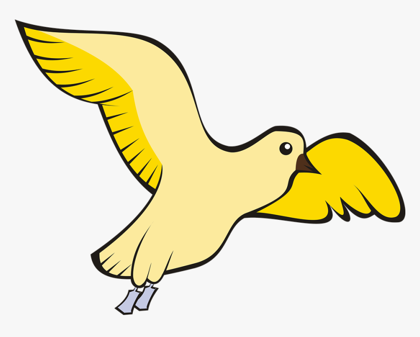 Ave, Paloma, Vuelo, Cielo, Amarillo, Adobe - Bird Outline Drawing Png, Transparent Png