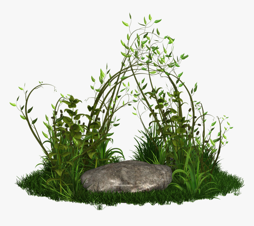Plantas Png, Transparent Png