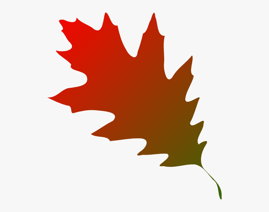 Banner Freeuse Autumn Leaf Clipart Red Oak Leaf Clip Art Hd Png