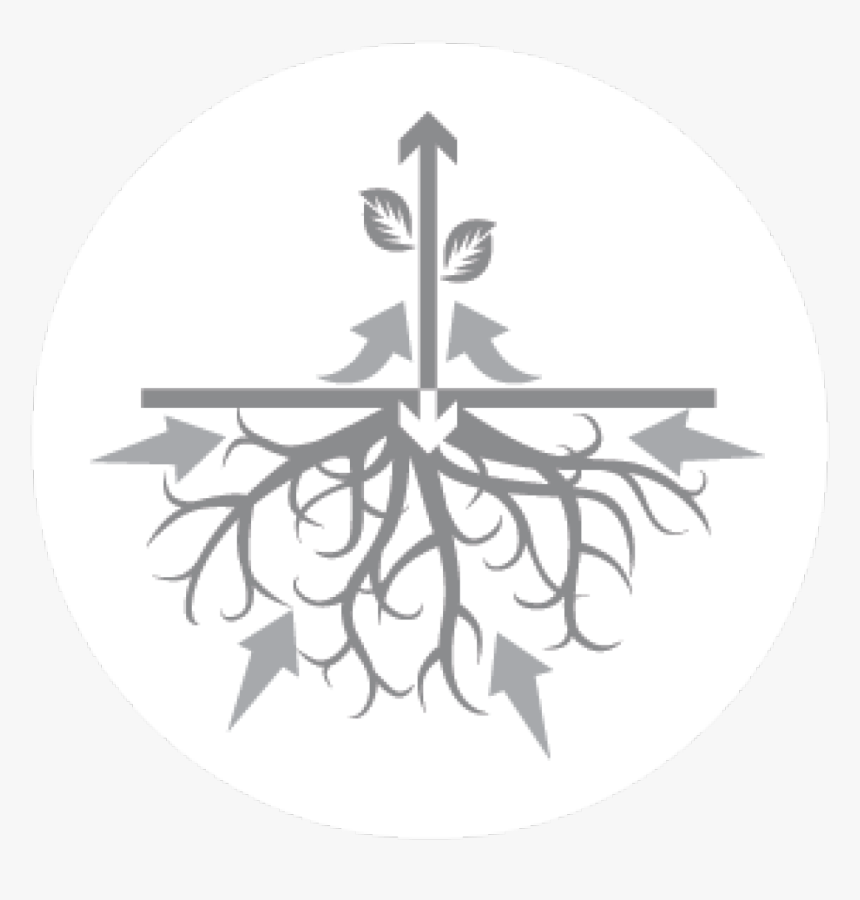 Transparent Plant Growth Png - Emblem, Png Download