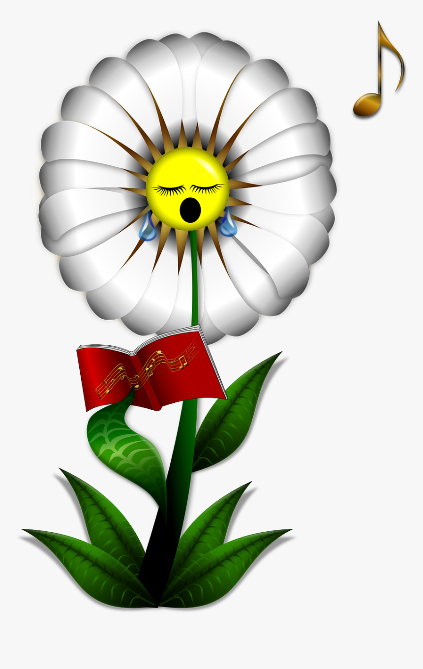Music And Plant Growth - Music Activities For Toddlers, HD Png Download
