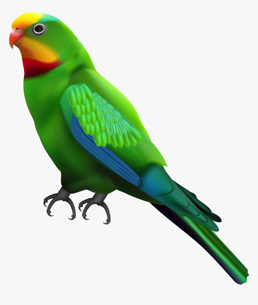 Paloma Dibujo Png, Transparent Png