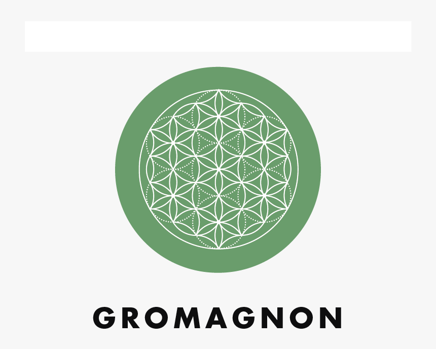 Amhydro Gromagnon Plant Growth Nutrients - Circle, HD Png Download