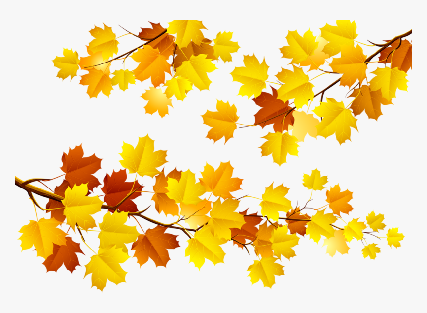 Autumn Leaves Png Transparent, Png Download
