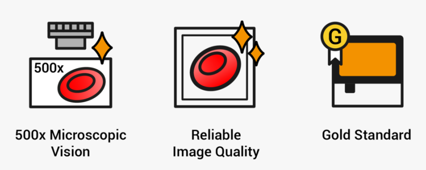 Icons Web Ai 1 - Circle, HD Png Download