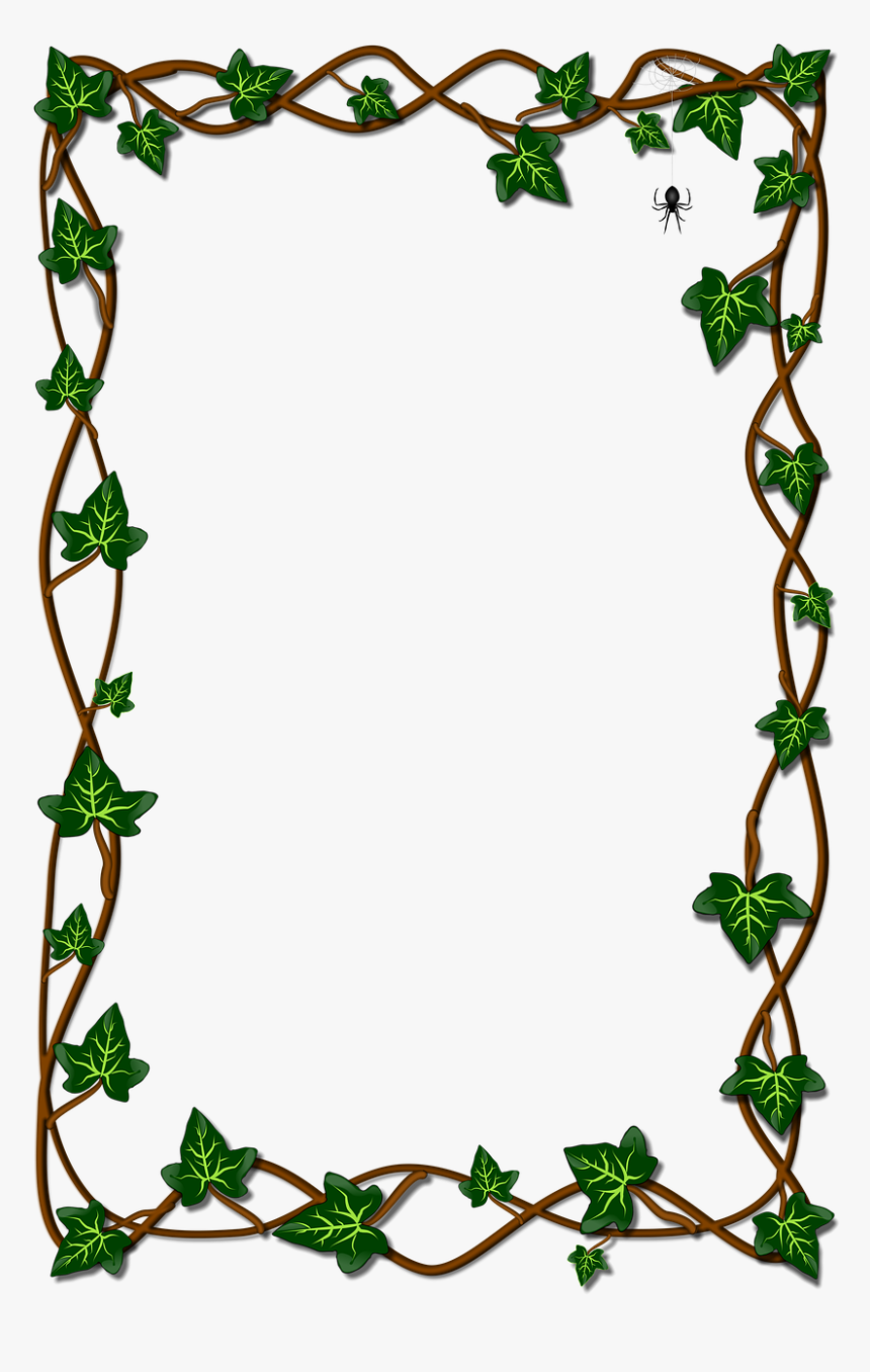 Leaf Ivy Flora Free Picture - Stock.xchng, HD Png Download
