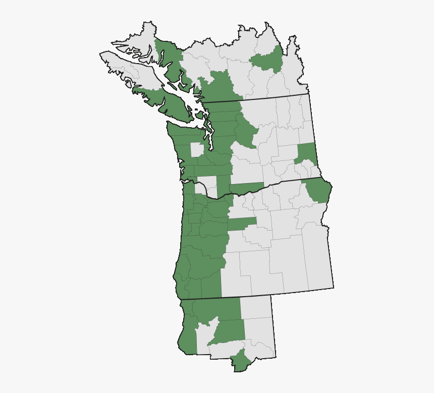 Pacific Nw Map Of Evergreen Trees, HD Png Download