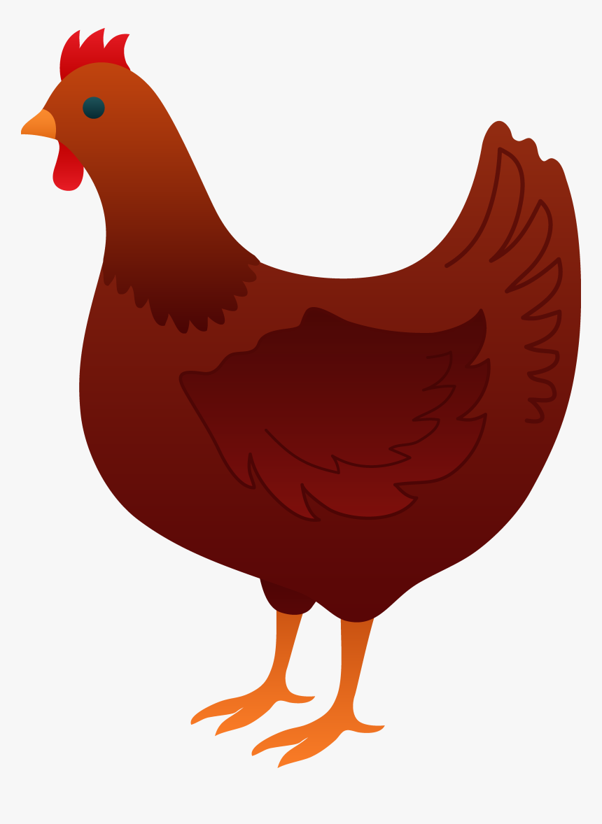 Hen Chicken Clipart - Hen Clipart, HD Png Download