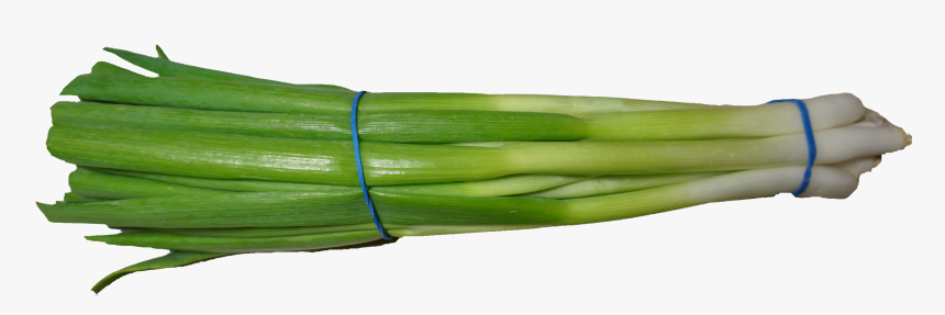 Scallion Green Onion Png Image - Scallion Png, Transparent Png