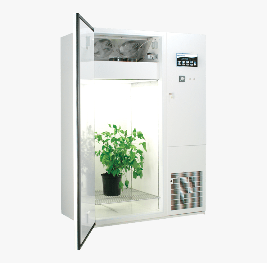 Img - Houseplant, HD Png Download