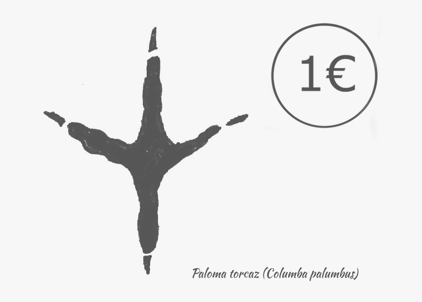 Flight, HD Png Download